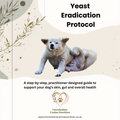 Yeast Eradication & Prevention Protocol Digital Download