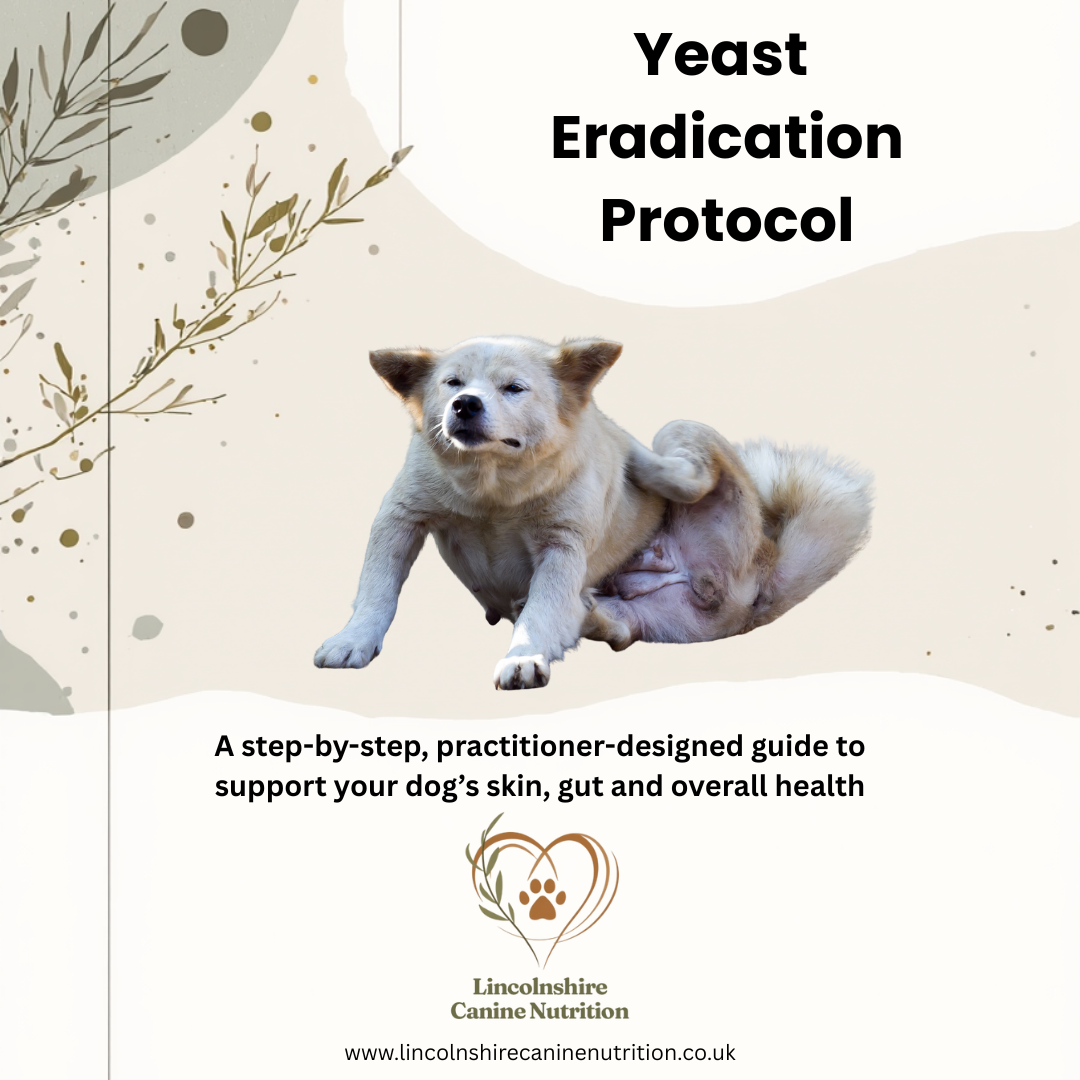 Yeast Eradication & Prevention Protocol Digital Download